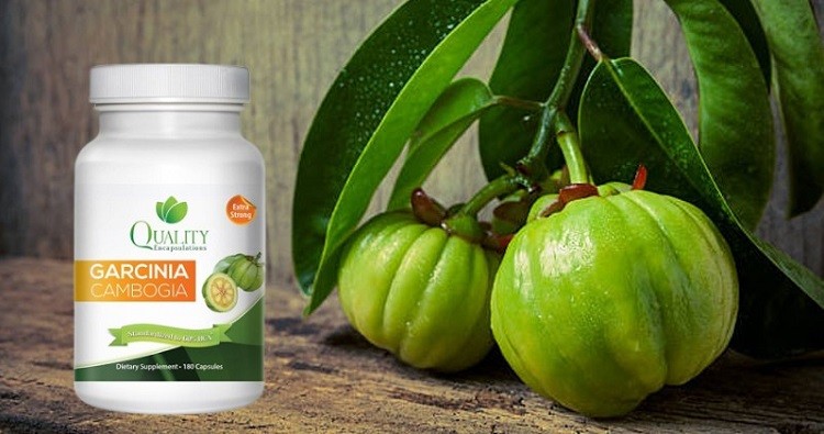 mua Garcinia Cambogia 60% HCA ở đâu