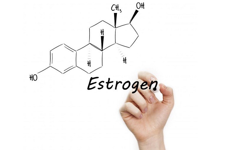 estrogen
