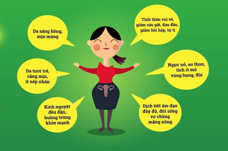 Nội tiết nữ đầy đủ