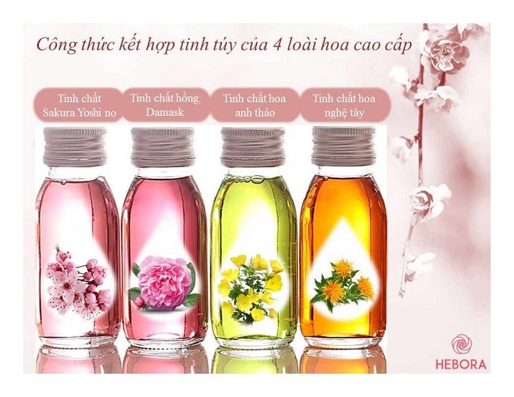 Review viên uống Hebora có tốt không webtretho viên uống hebora có tốt không webtretho, review viên uống hebora webtretho, viên uống thơm cơ the webtretho, viên uống thơm cơ the review, hebora review webtretho, viên uống hebora webtretho, review viên uống thơm cơ thể, hebora có tốt không, viên uống hebora có tốt không, viên uống hebora, uống hebora giá, viên uống hebora review, viên uống hebora mua ở đâu, viên uống hebora bao nhiêu tiền, viên uống hebora chính hãng, viên uống hebora có tốt ko