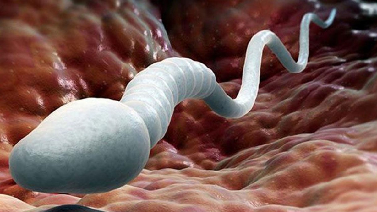 Sử dụng thuốc triệt tinh trùng