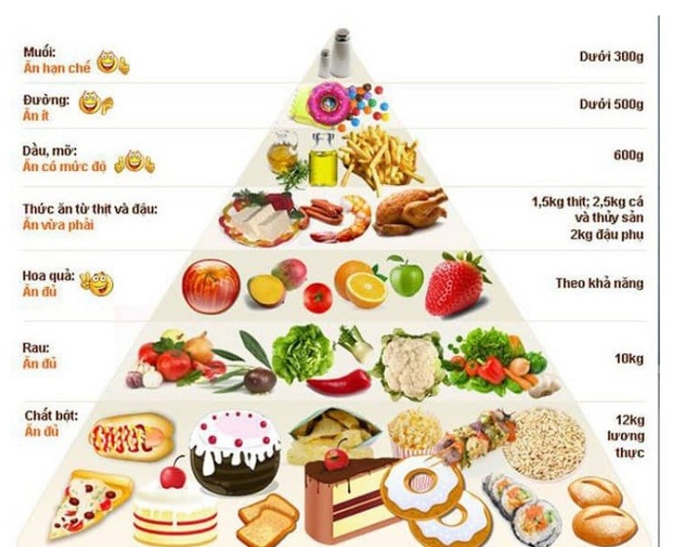 Tháp dinh dưỡng tăng cân