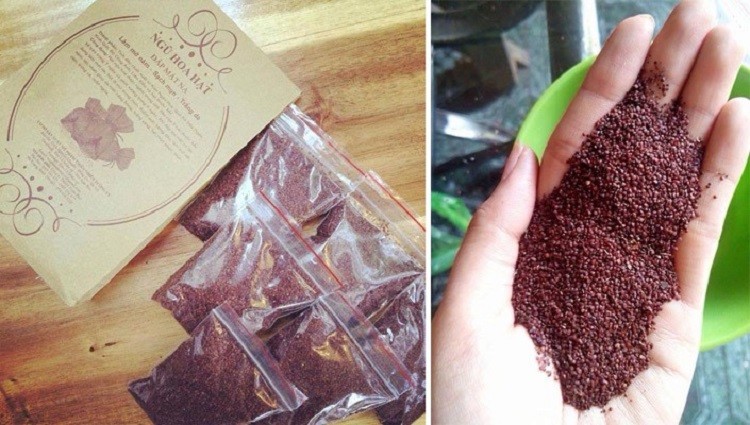 Mặt nạ ngũ hoa hạt có tốt không review ngũ hoa hạt, mặt nạ ngũ hoa, mặt nạ ngũ hoa hạt, mặt nạ hạt ngũ hoa, ngũ hoa hạt là gì, ngũ hoa hạt có tác dụng gì, mặt nạ ngũ hoa hạt có tốt không, cách đắp mặt nạ ngũ hoa hạt, ngũ hoa hạt mộc sắc, ngũ hoa hạt mua ở đâu, ngũ hoa hạt có tốt không, đắp mặt nạ ngũ hoa hạt có tốt không, bột ngũ hoa hạt, ngũ hoa hạt tina lê, ngũ hoa hạt cách sử dụng, ngũ hoa hạt đắp mặt nạ, mặt nạ ngũ hoa hạt tina lê, cách sử dụng mặt nạ ngũ hoa hạt, mặt nạ ngũ hoa hạt review, hướng dẫn đắp mặt nạ ngũ hoa hạt, công dụng của mặt nạ ngũ hoa hạt, mặt nạ ngũ hoa hạt có tác dụng gì, mặt nạ ngũ hoa hạt trị mụn, đắp mặt nạ bằng hạt ngũ hoa, cách dùng mặt nạ ngũ hoa hạt, cách làm mặt nạ ngũ hoa hạt, cách đắp mặt nạ bằng hạt ngũ hoa, đắp mặt nạ ngũ hoa hạt, mặt nạ ngũ hoa hạt mua ở đâu, mặt nạ ngũ hoa hạt quyên lara, ngũ hoa hạt nhỏ, ngũ hoa hạt công dụng, ngũ hoa hạt mẹ ken, mặt nạ ngũ hoa hạt linda, mặt nạ ngũ hoa hạt đình lịch, mặt nạ ngũ hoa hạt nhỏ, mặt nạ ngũ hoa hạt công dụng, mặt nạ ngũ hoa hạt bán ở đâu, mặt nạ ngũ hoa hạt collagen, có nên dùng mặt nạ ngũ hoa hạt, review mặt nạ ngũ hoa hạt, công dụng mặt nạ ngũ hoa hạt, sử dụng mặt nạ ngũ hoa, ngũ hoa hạt có bắt nắng không, ngũ hoa hạt giá sỉ, ngũ hoa hạt 100g, ngũ hoa hạt thật và giả, mặt nạ ngũ hoa hạt là gì, mặt nạ ngũ hoa hạt giá bao nhiêu, mặt nạ ngũ hoa hạt sữa tươi, mặt nạ ngũ hoa hạt chính hãng, mặt nạ ngũ hoa hạt đắp bao lâu, mặt nạ ngũ hoa hạt cách dùng, mặt nạ ngũ hoa hạt dùng tốt không, tác dụng mặt nạ ngũ hoa hạt, giá mặt nạ ngũ hoa hạt, mặt nạ ngũ hoa hạt tốt không, mặt nạ ngũ hoa hạt tina lê review, mua mặt nạ ngũ hoa hạt, hạt ngũ hoa đắp mặt nạ mua ở đâu, mặt nạ thiên nhiên ngũ hoa hạt, mask ngũ hoa hạt, cách pha mặt nạ ngũ hoa hạt, mặt nạ hạt ngũ hoa với sữa tươi, đắp mặt nạ hạt ngũ hoa với sữa tươi, mặt nạ ngũ hoa hạt với sữa tươi, mask hạt ngũ hoa